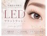 【圧倒的な持続力】期間限定LED★フラットラッシュ120本¥6990