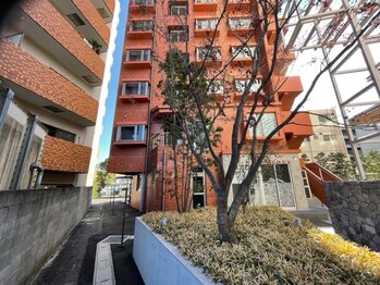 タマユラ(tamayura)/駐車場からサロンへの道順　(3)