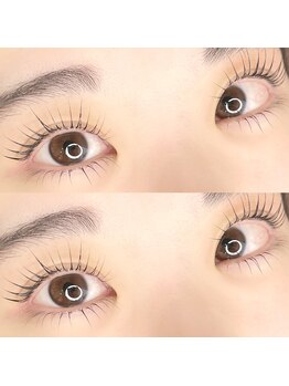 リンク(Linq)/パリジェンヌラッシュリフト上下