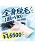 【全身脱毛体験(顔＋VIO込み)】　￥16500