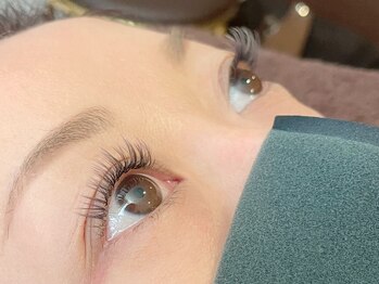 ラピスガーデン 東神奈川(LAPIS GARDEN)/アルファーラッシュ120本