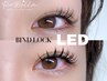 【LED】バインドロック120束《アイシャンプー/コーティング付》