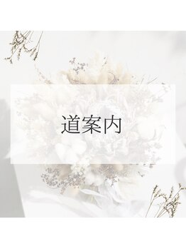 レティツィア(Laetitia)/