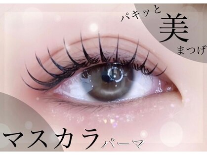 セレブヒルズ 丸の内の写真