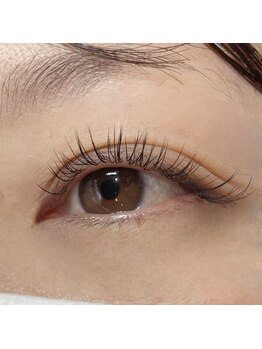 ミテ(mite)/フラットラッシュ120本