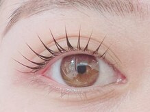 オリーブ(Olive)