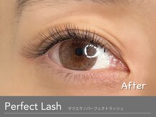 アンモス 日本橋店(Ann Moss)/ナチュラルな仕上がりのマツエク