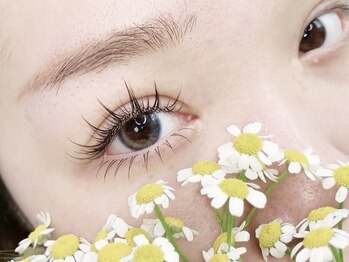 ティアラッシュ(TIA.LUSH)/マツエク/ボリュームラッシュ