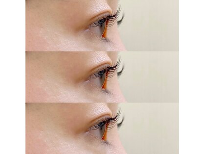 ラッシュベイビー(LASH Baby)の写真