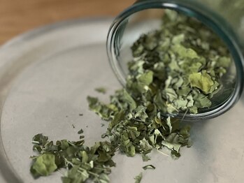 ミジタク 京都二条店(mijitaku)/代謝UPに〈沖縄県産モリンガ〉