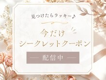 シュシュ(chou chou)