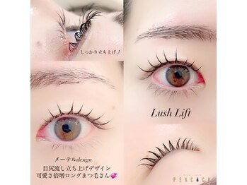 ピーコック(peacock)/lashlift
