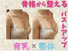 シャンス アルファ(chance)