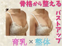 シャンス アルファ(chance)