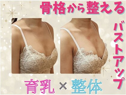 シャンス アルファ(chance)の写真