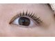 メイクプラスネイル ヴィヴィッド(MAKE+NAIL vivid)の写真/丁寧なカウンセリングと確かな技術で一人ひとりに寄り添いあなたらしい美しさを一緒にみつけるサロン。