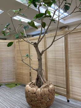 にのみや整体院/とにかく癒されます♪