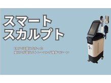 ヒデシマ(HIDESHIMA)/痩身機械