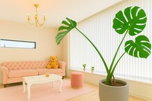 エステティックサロン S