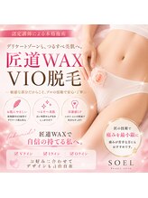 ソエル(SOEL)/匠道WAXVIO脱毛