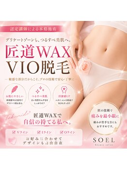 ソエル(SOEL)/匠道WAXVIO脱毛