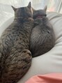 ネイルサロン クレオ(Cleo) 保護猫3匹と柴犬を飼ってます☆