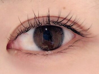 カラン 焼津店(CALIN)/フラットラッシュ100本