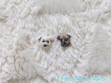 エリーズナードネイルズ(Erie’s Nerd Nails)/オーダーパーツ★