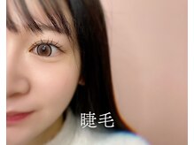 981/（マツエク）　ワンホンエクステ