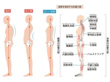 かんとま整骨院 中区鶴舞院/姿勢と抗重力筋