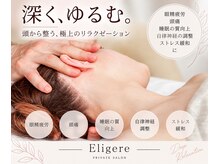 エルグレ(Eligere)の雰囲気（整体とリラクゼーションを融合させた手技！岩盤マットでの施術）