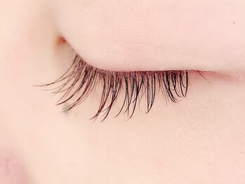 カラン 焼津店(CALIN)/フラットラッシュ100本☆