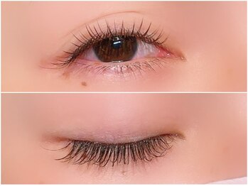 アイラッシュサロン シェリ(cheri)/【フラットブラウン 120本 】