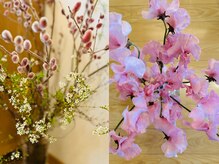 ジーナ(Gina)/店内