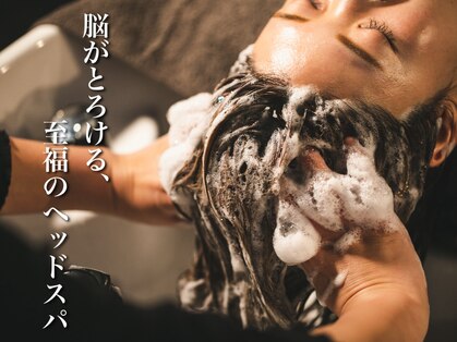 キヨイ(kiyoi)の写真