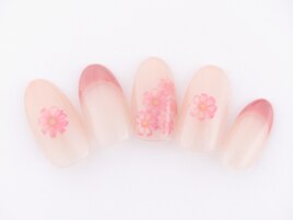 定額a シンプル/クーポン使用