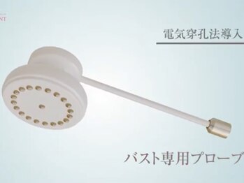 サラエクセレント 銀座/バストアップ専用プローブ/銀座