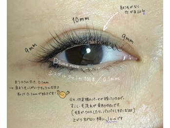 プルームミコ(Plume mico)/シングルラッシュ100本