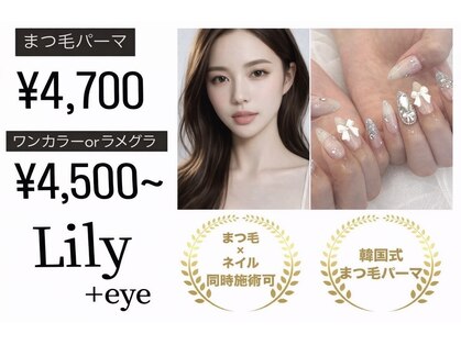 リリー(Lily)の写真