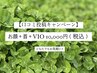 【口コミキャンペーン】人気セット♪お顔脱毛＋VIO  ¥19,000→10,000