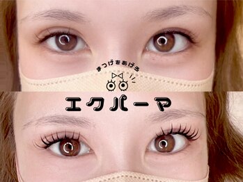 リリアン(Relien)/エクパ★フラットラッシュ140束