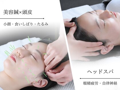 ハル(HALU)の写真