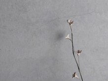 ラ サンセリテ(la sincerite)/la sincerite/７月newopen