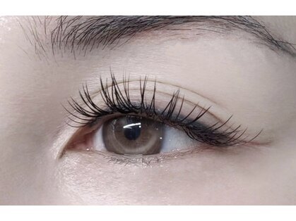 ハーフバックス 堀之内店の写真