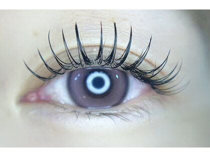 Amuse Lash  の写真