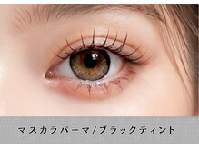 エーネイル エーラッシュ(A-NAIL A-LASH)/韓国発祥！マスカラパーマ