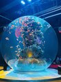 ベルルーナ(Belle-Lune) 神戸の水族館atoa有名な球体の水槽！めちゃくちゃ綺麗でした