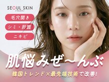 【韓国肌管理専門店】ハーブピーリング/ララピール/小顔矯正/毛穴洗浄　ソウルスキンの雰囲気（毛穴・ニキビ・くすみの肌悩みに韓国美容で本格集中ケアします☆）