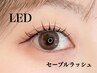【NEW★LEDセーブルラッシュ】100本￥5200/ご新規様初回オフ無料