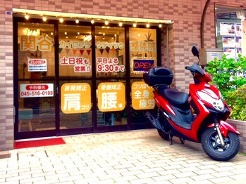 関谷カイロプラクティック整体院/2019年 春の訪れ No.3